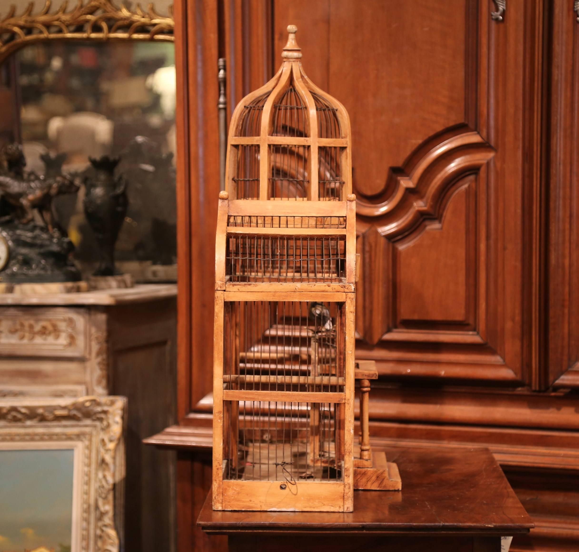 Large 19th Century French Hand-Painted Carved and Wired Birdcage with Dome Top 2