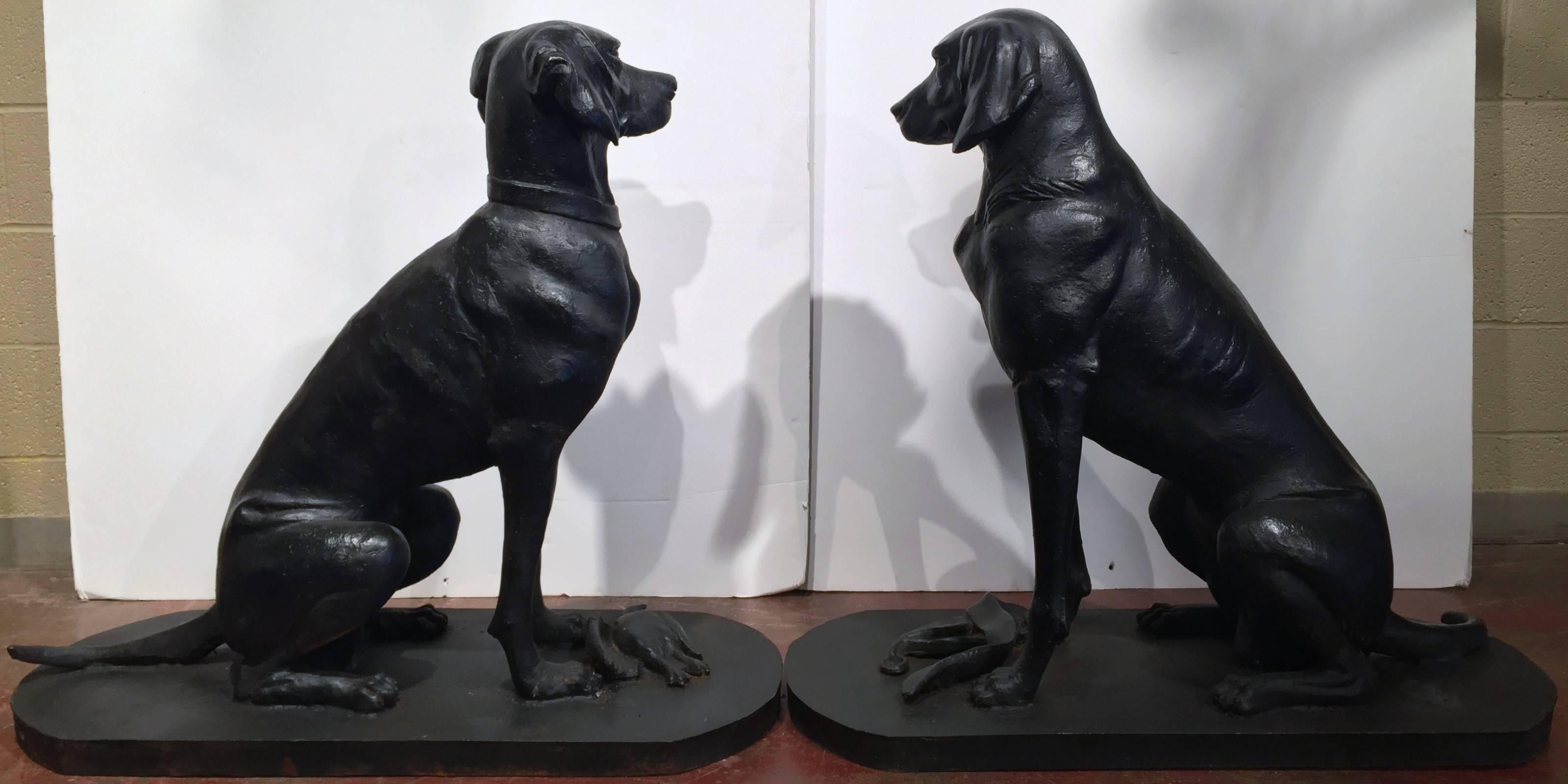 Pair of Life Size Iron Hunting Labradors Retrievers from France 3