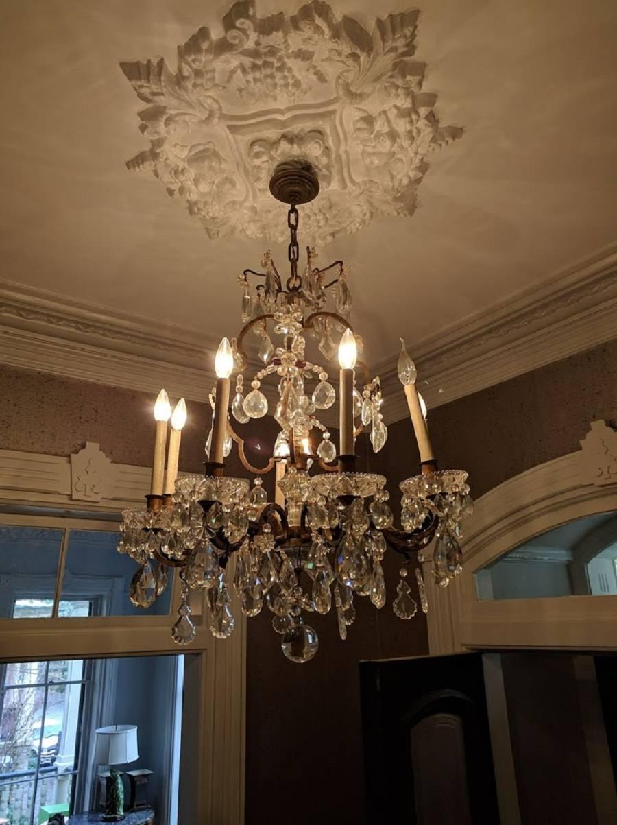 French Eight-Light Crystal Chandelier, 19th Century 7
