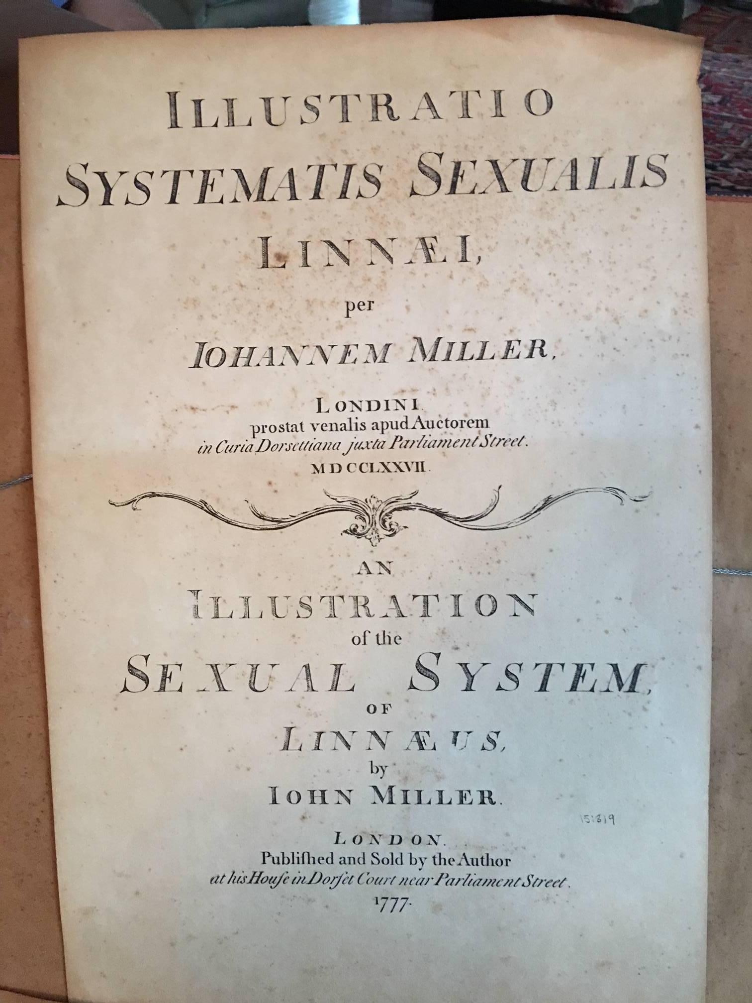 Set of Four Framed Illustrations of the Sexual System of Linnaeus, circa 1777 2