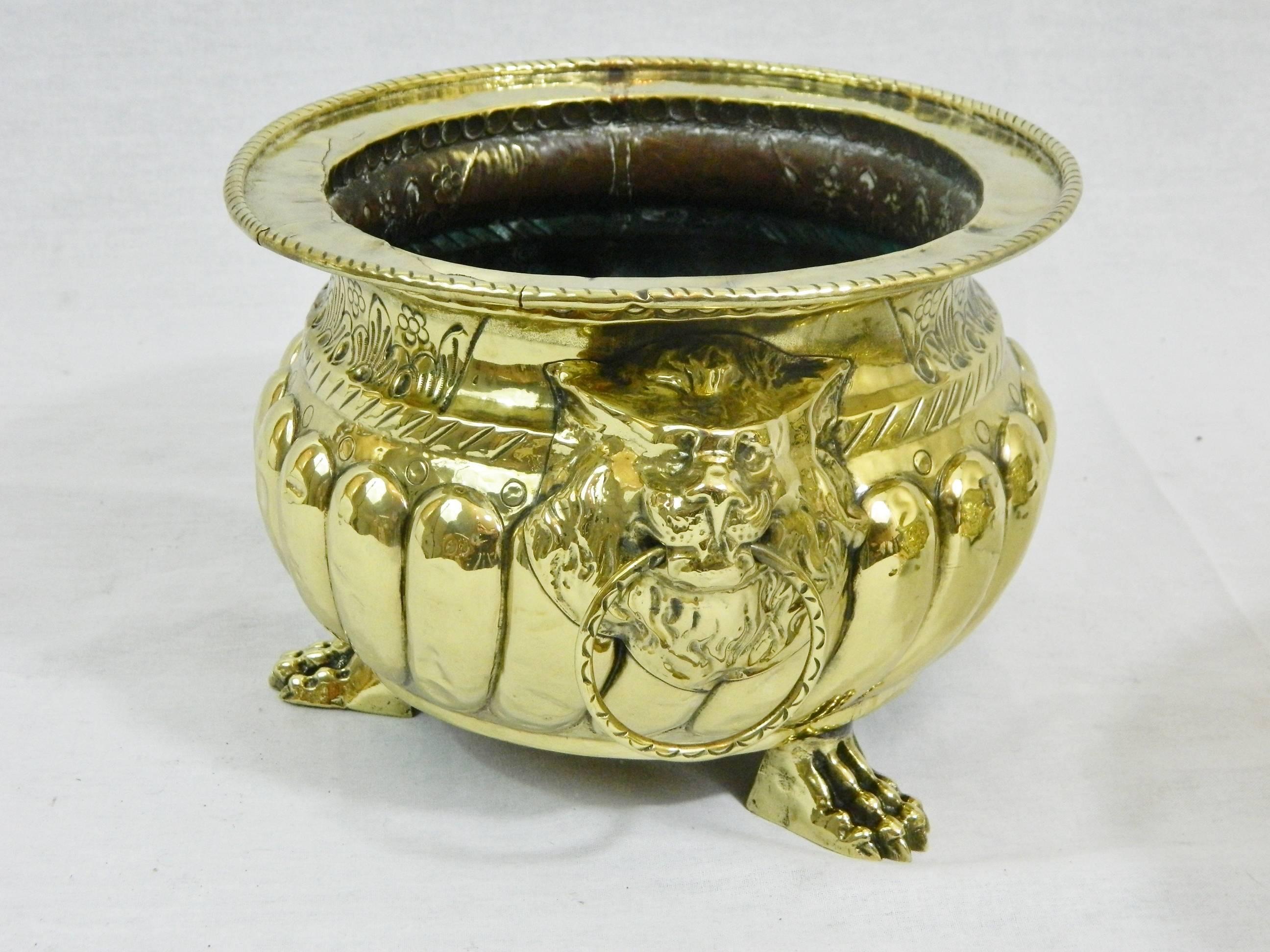 19th Century Polished Brass Jardiniere or Planter with Cast Feet, Lion Face and Ring Handles