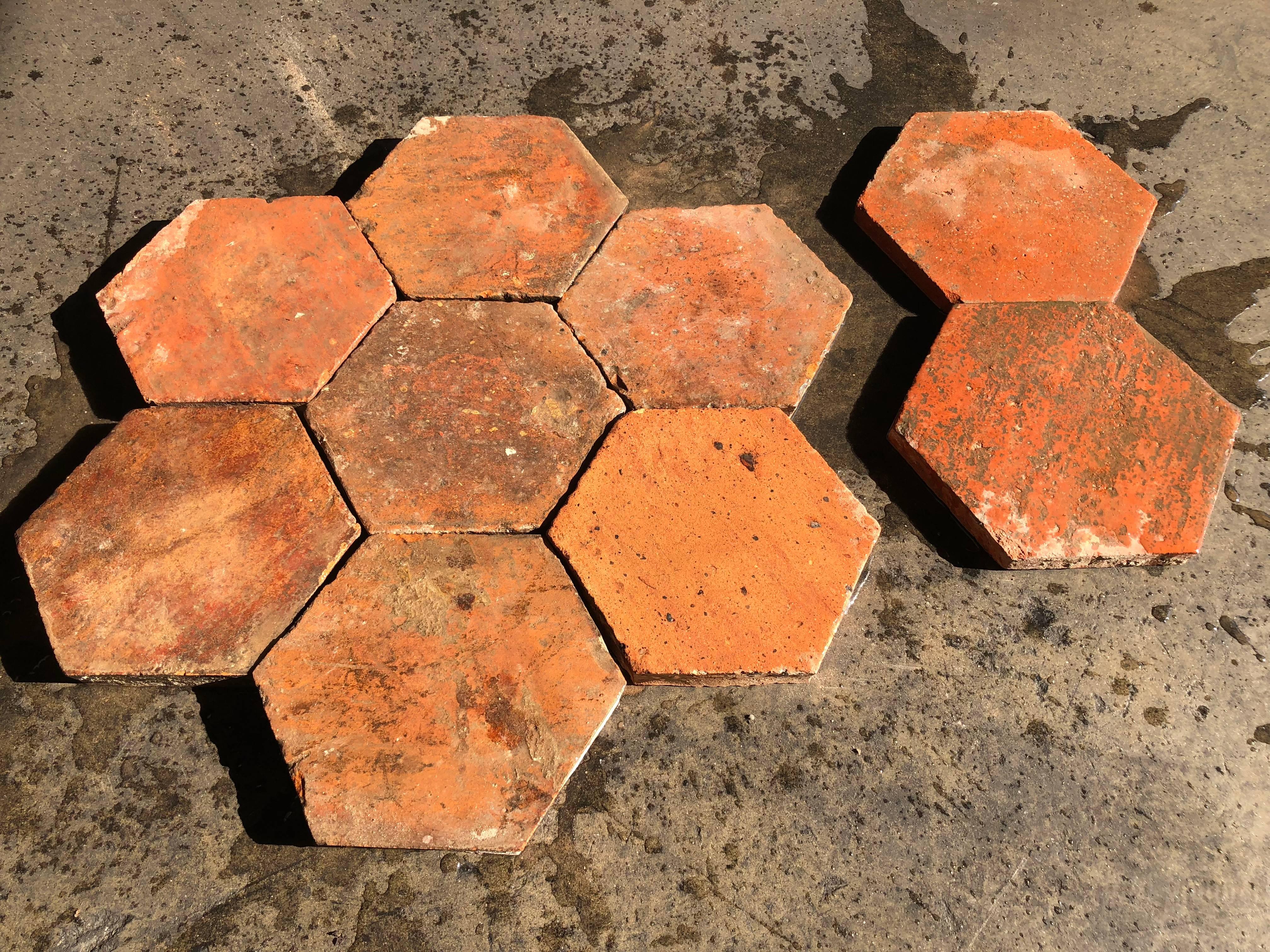 Louis XIV French Antique Terracotta Flooring Hexagonal, 18th Century, France For Sale