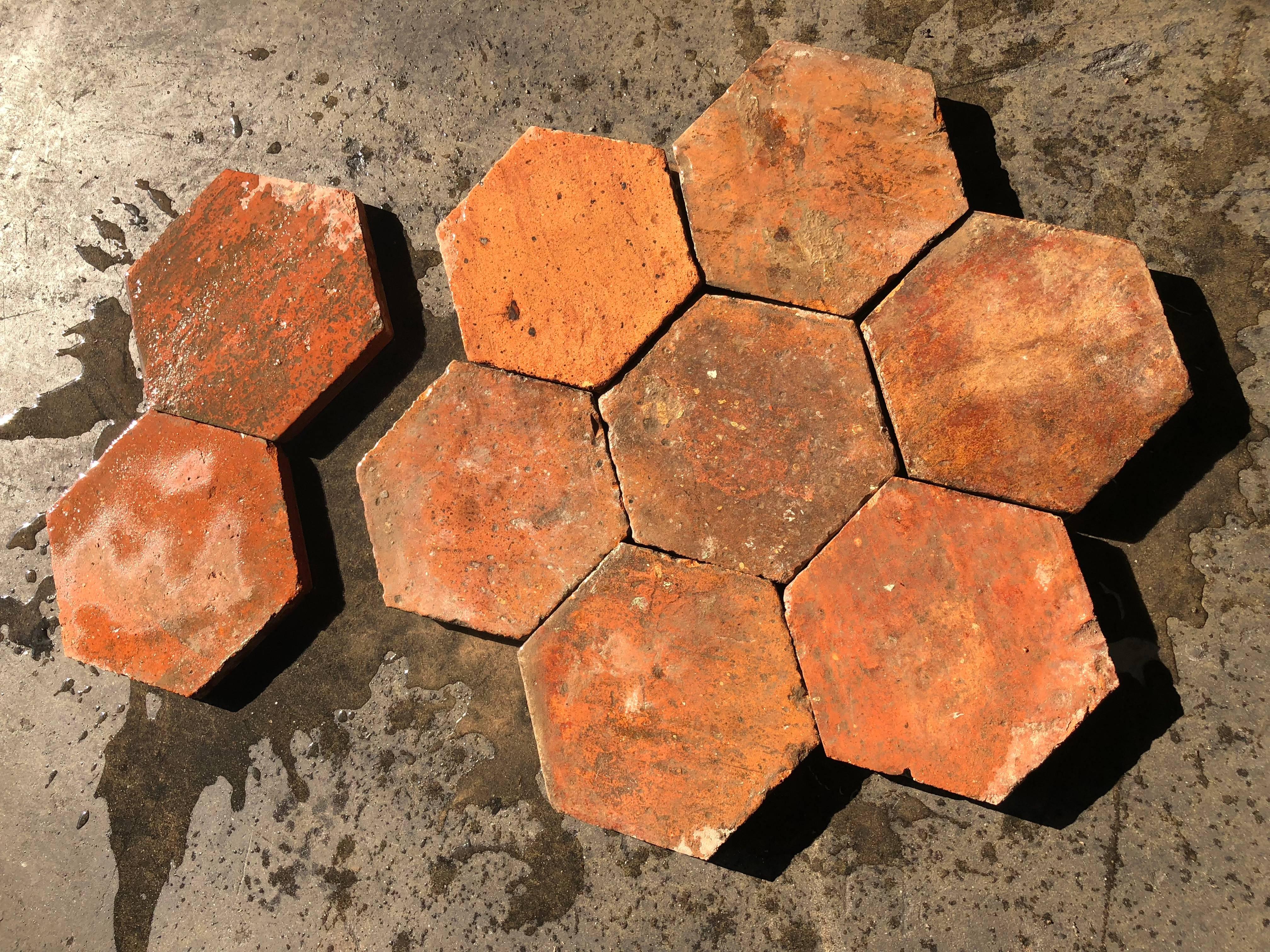 French Antique Terracotta Flooring Hexagonal, 18th Century, France For Sale 3