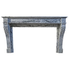 French Antique Marble Fireplace 19th Century from Paris, France