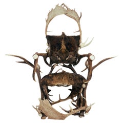 Hunting trophy chair wild boar , Antler, Red Deer, Fallow, animal skin, 1970s