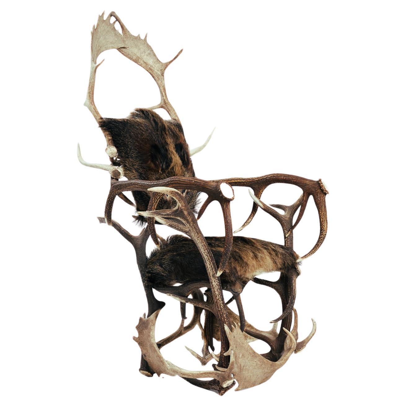 Antler Armchair with Wild Boar Hide, Red Deer, Fallow Deer, 1880s