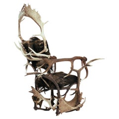 Sedia trofeo di caccia cinghiale, corno, cervo, daino, pelle di animale, anni '70
