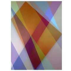 Photogram by Jeffrey Rothstein 4