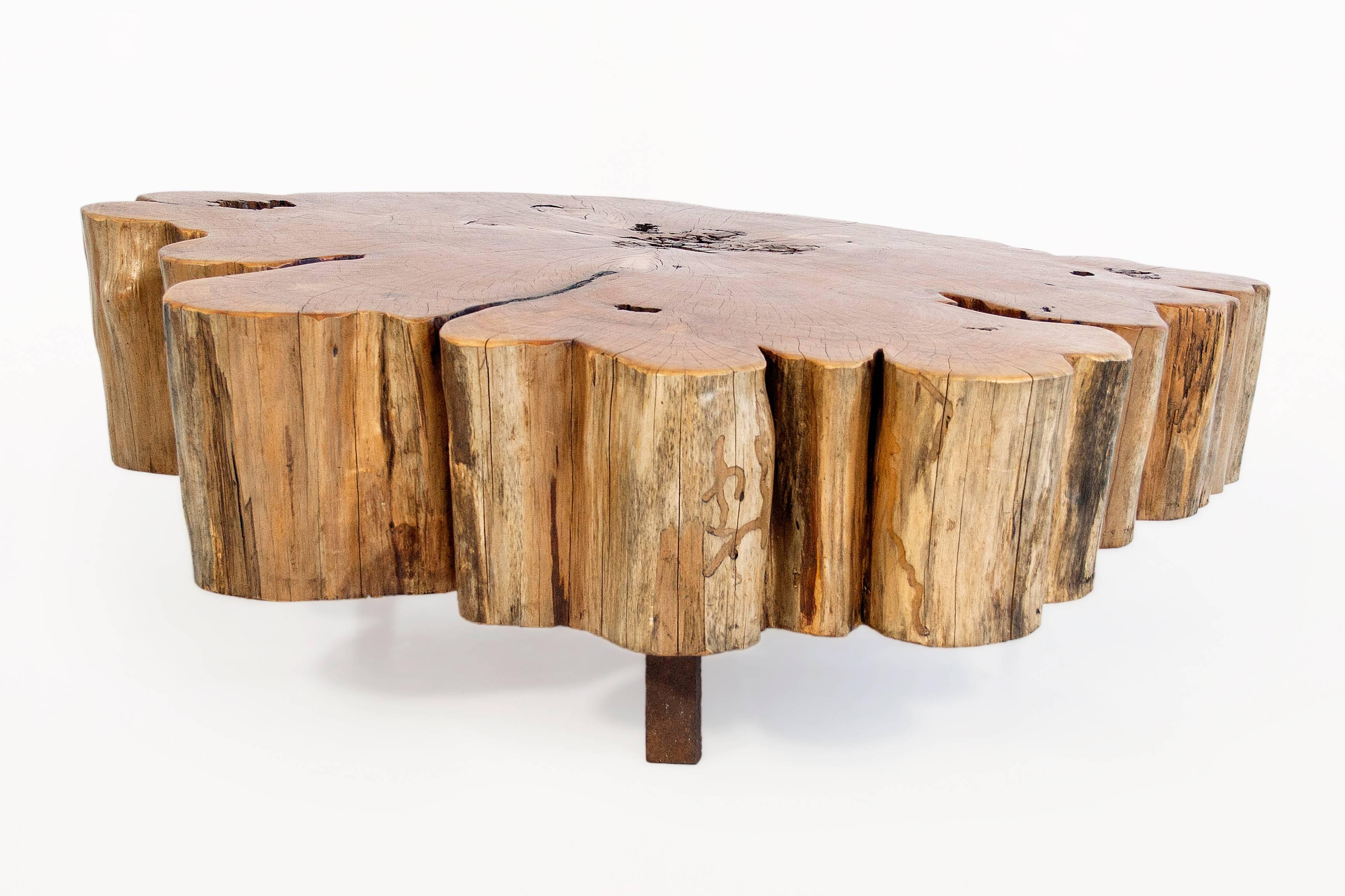 Cypress Tree-Trunk Coffee Table, circa 2000, France In Good Condition In Girona, Spain