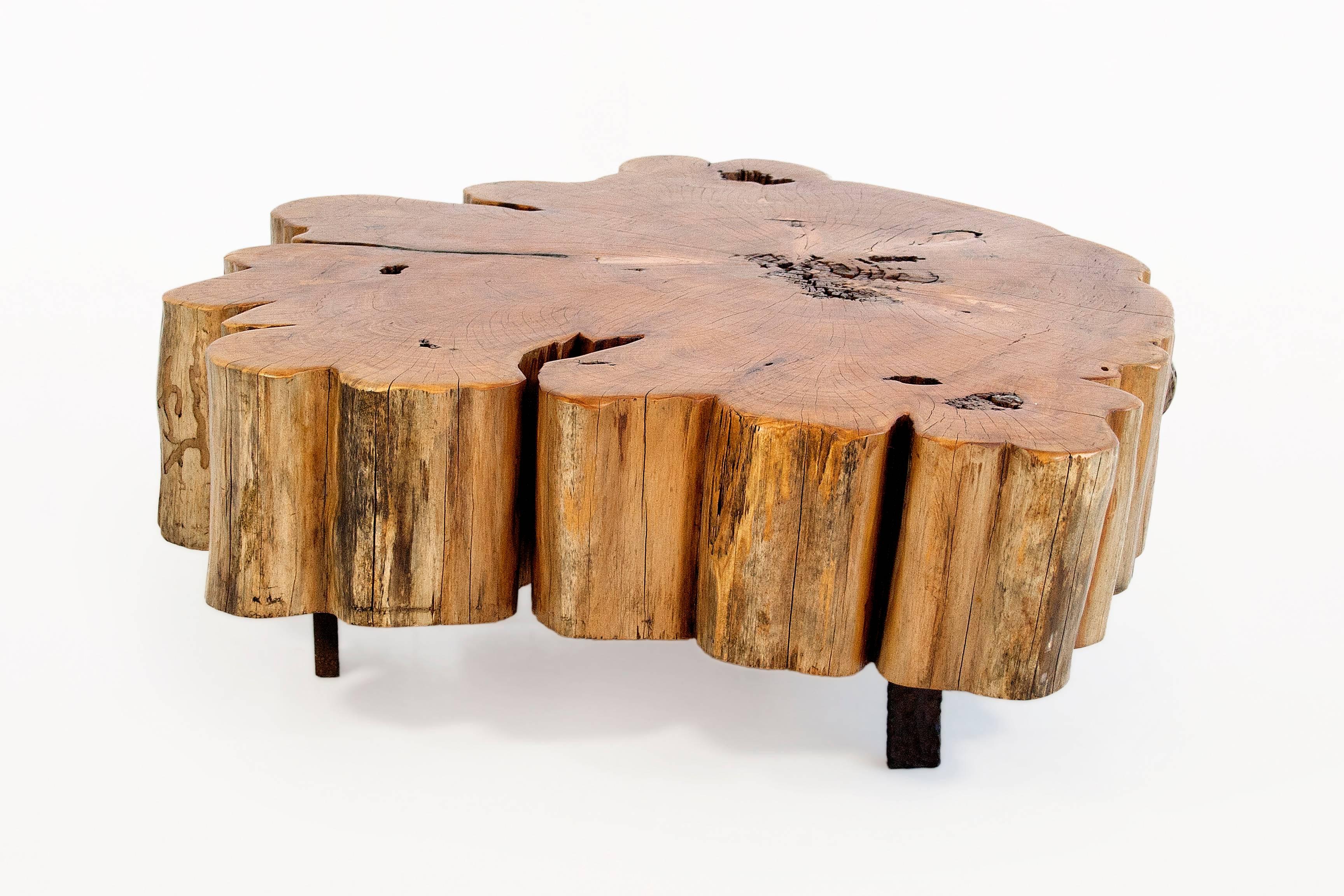 French Cypress Tree-Trunk Coffee Table, circa 2000, France