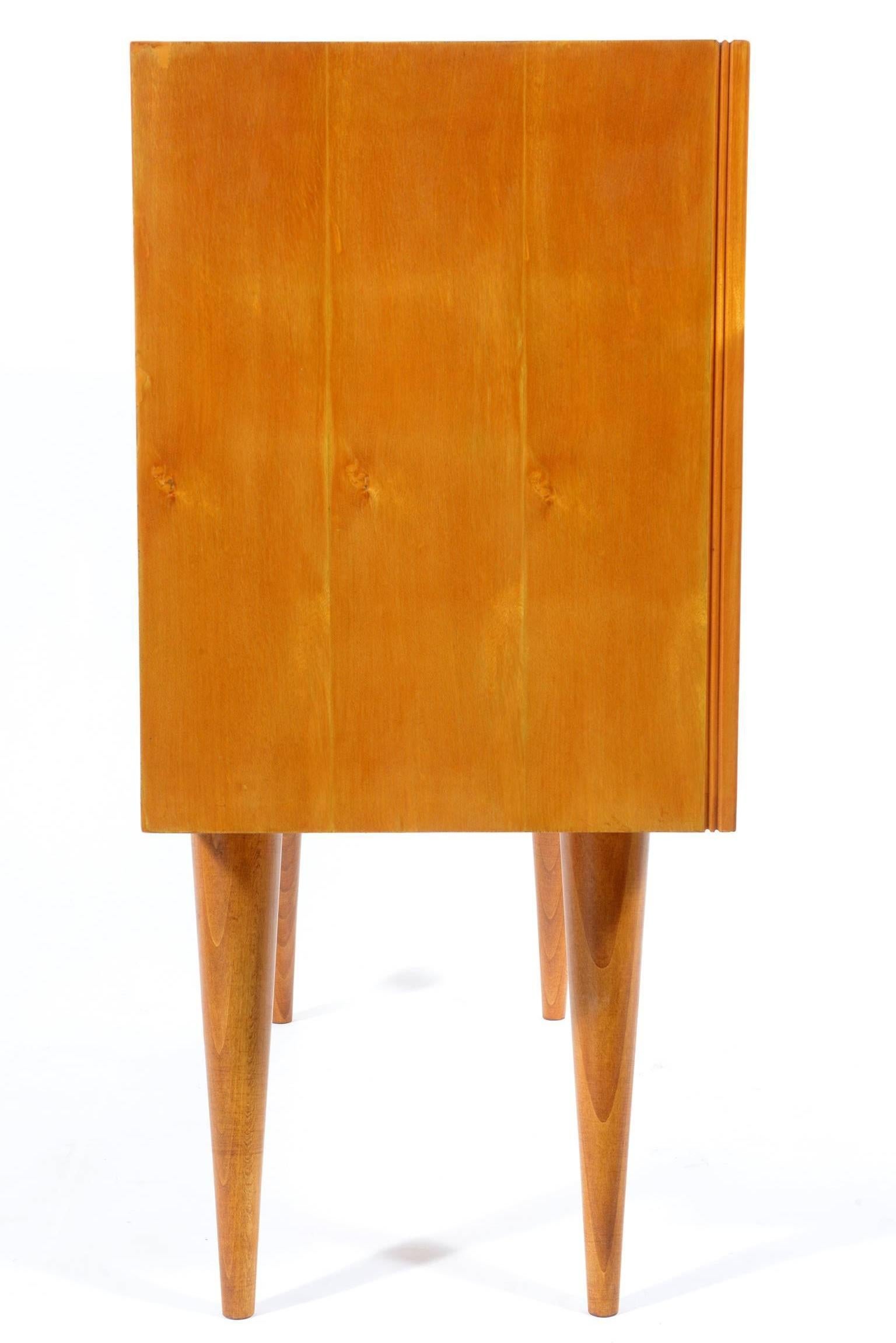 Pair of Mid-Century Italian Cabinet by Pier Giulio Magistretti For Sale 2