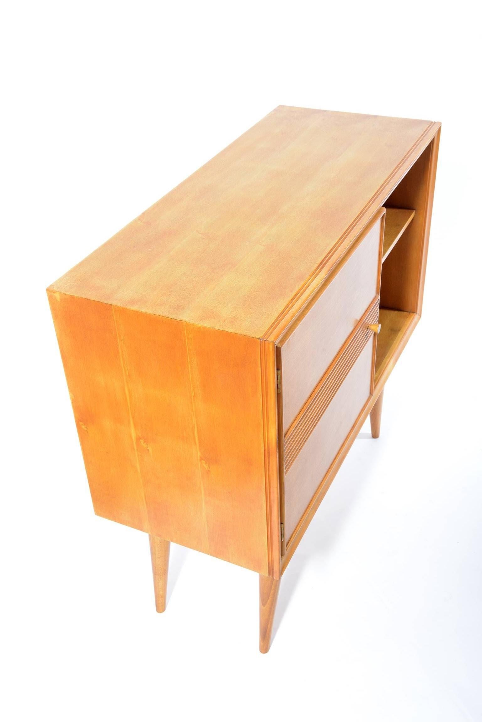 Pair of Mid-Century Italian Cabinet by Pier Giulio Magistretti For Sale 4