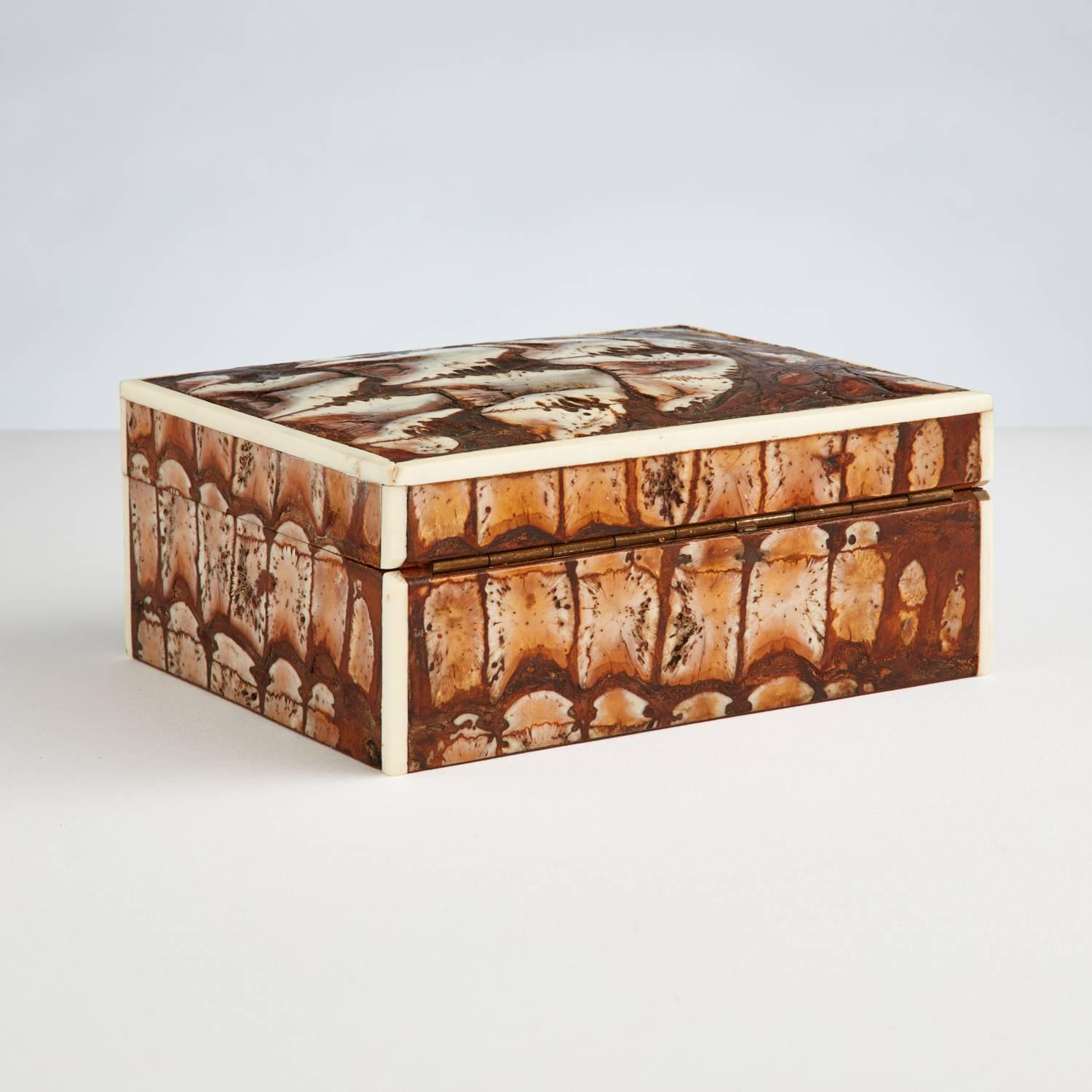 A very rare and unusual Art Deco fossilized effect crocodile box with it's original cedar lined interior, English made circa 1925.
   