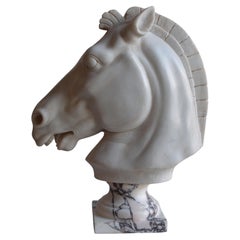 Testa cavallo Grecia classica in marmo bianco di Carrara