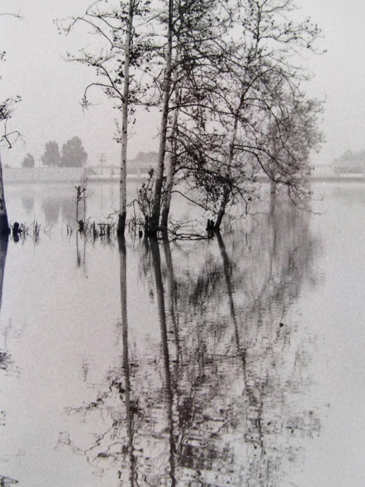 Ethereal Signed Photograph by Ed Cismondi In Excellent Condition For Sale In Papaikou, HI