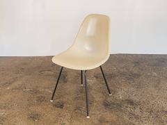 Six Parchment Shell Chairs by Charles and Ray Eames