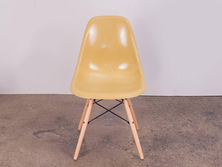 Original 1960s molded fiberglass shell chairs on Maple Dowel Base, designed by Charles and Ray Eames for Herman Miller.  These distinctly thready vintage shells have a muted mustard yellow hue that is hard to come by. Shells are in beautiful vintage