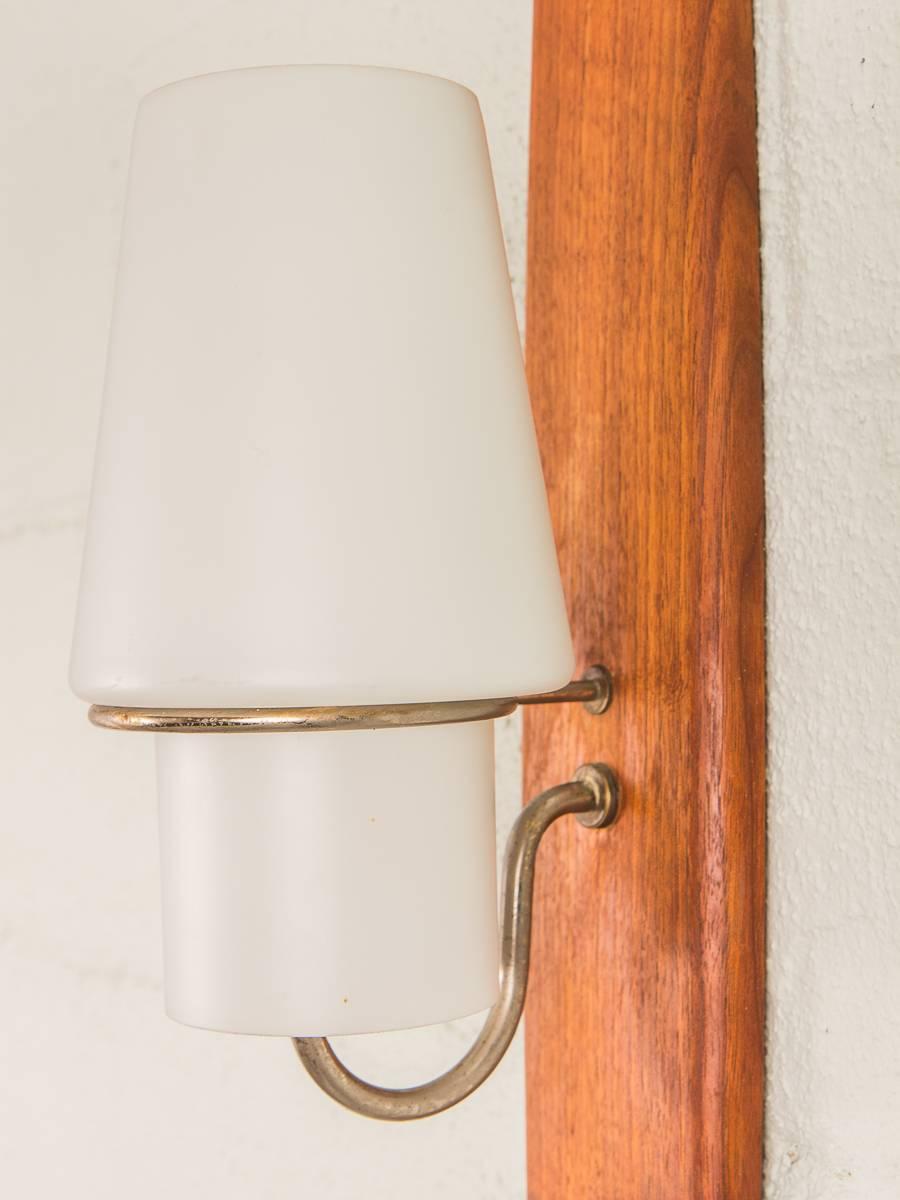 Scandinavian Modern Danish Modern Vertical Sconce Light For Sale