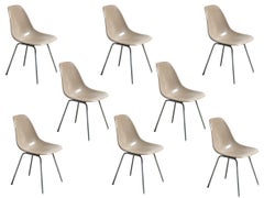 Eames für Herman Miller: Vintage 1960er Jahre Muschelstühle aus Fiberglas in Grau und Hellgrau, Eames