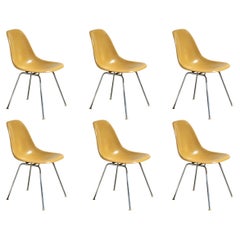 Ochre Yellow Mustard Eames Herman Miller Vintage 1960s Fiberglass Shell Chairs