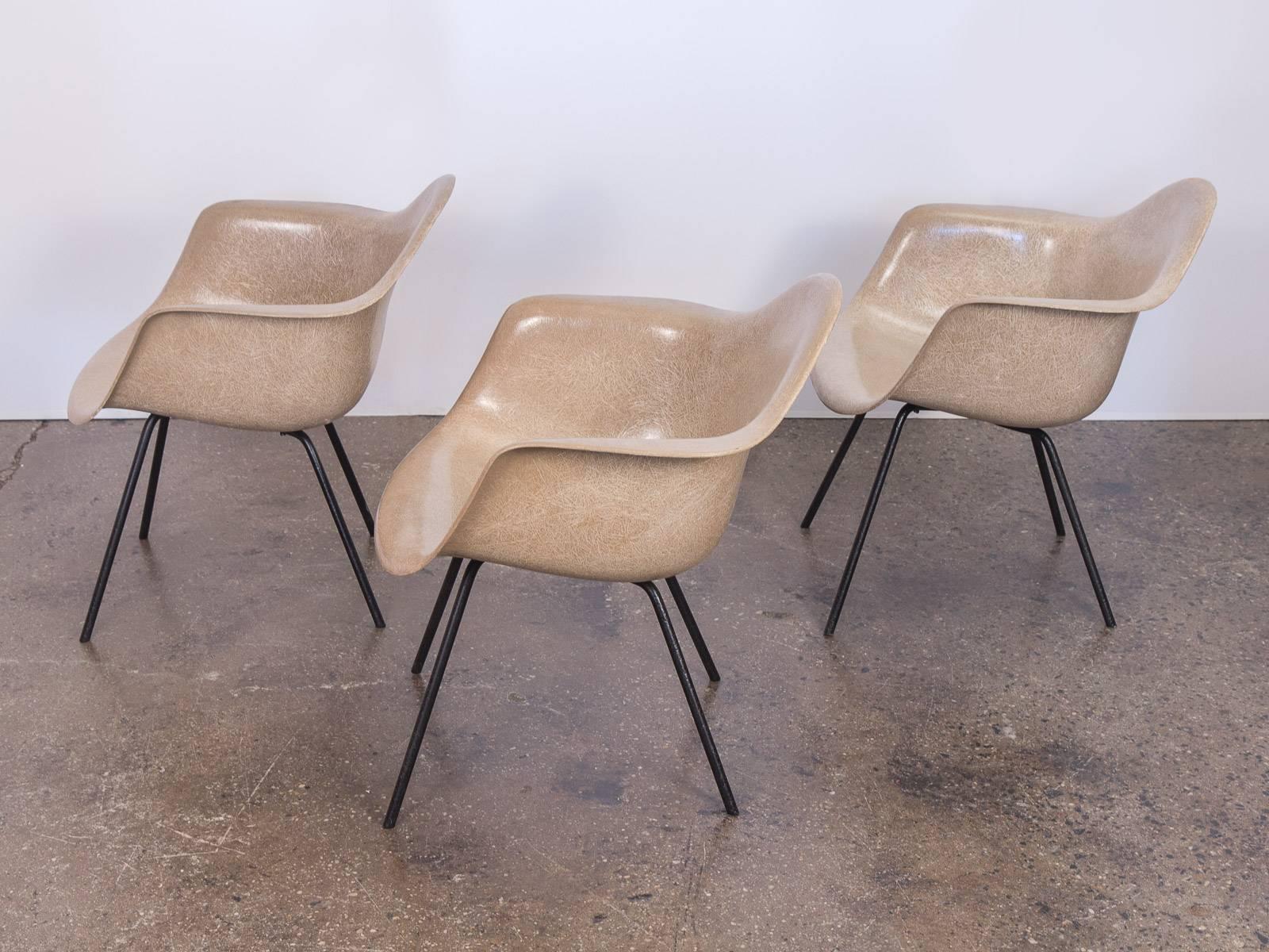 Second Generation Greige Eames Fiberglass Armshell Chair In Excellent Condition In Brooklyn, NY