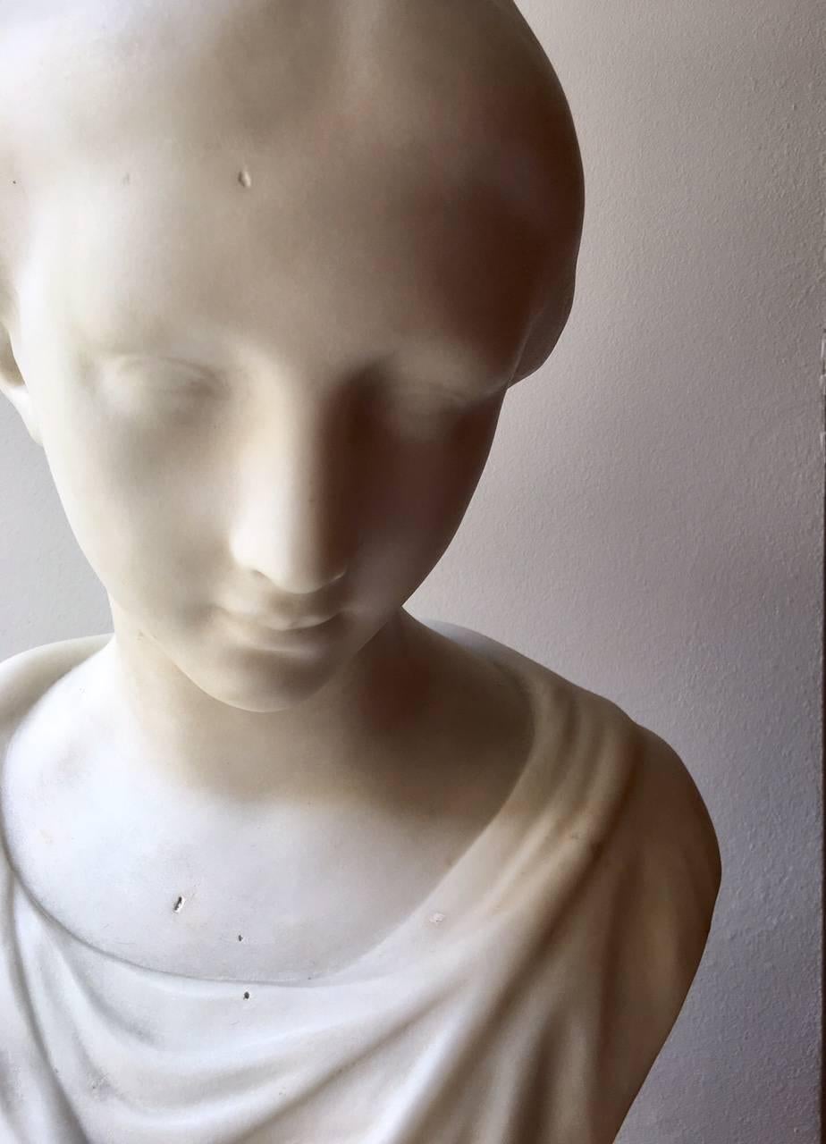 Late 19th Century Marble Bust 5