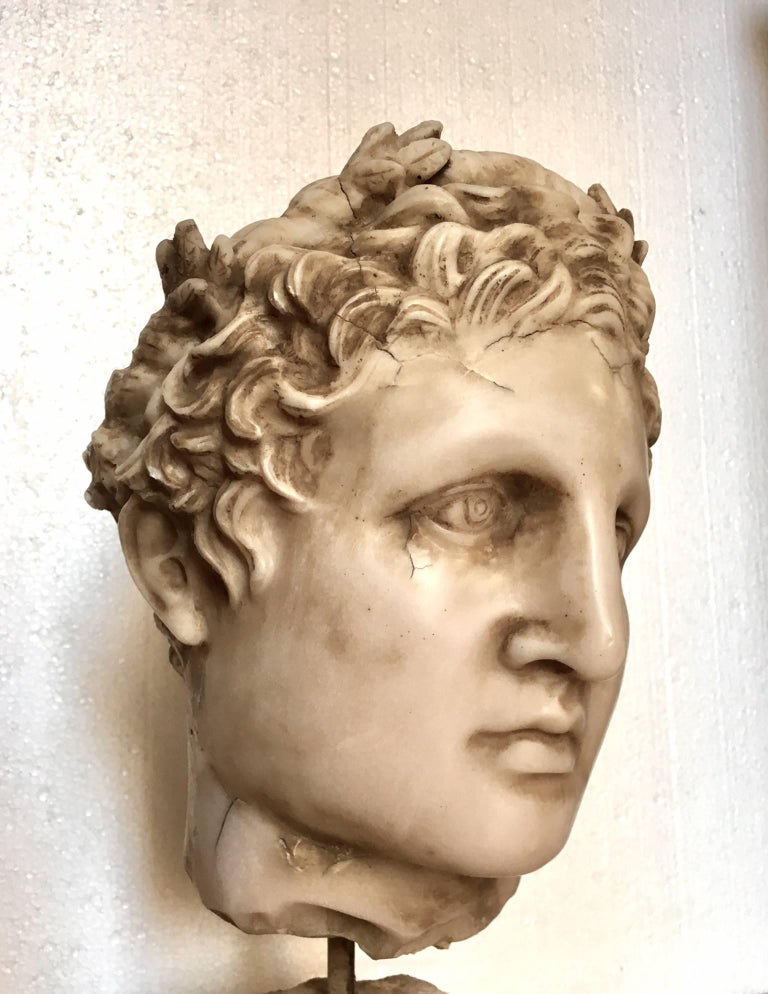 20th Century Classical Stone Bust For Sale at 1stdibs
