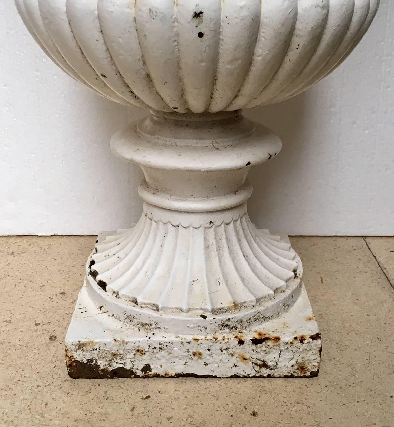 Elegant French cast-iron campana garden urne, white lacquered.