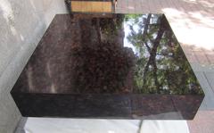 Resine with Lucite Inclusions Coffee Table, France, 1970