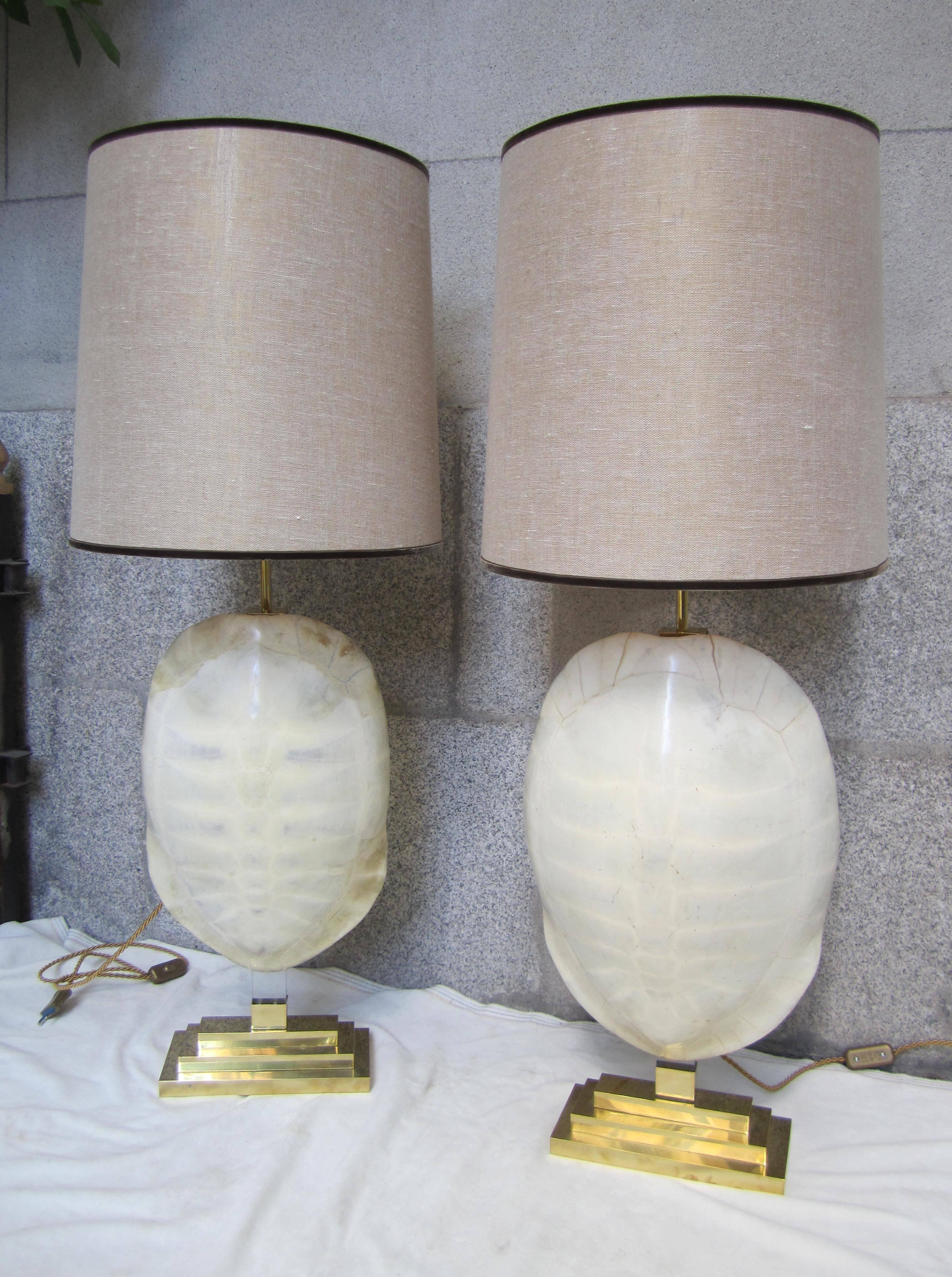 A pair of gilded brass and turtle shell lamps, 2010.
