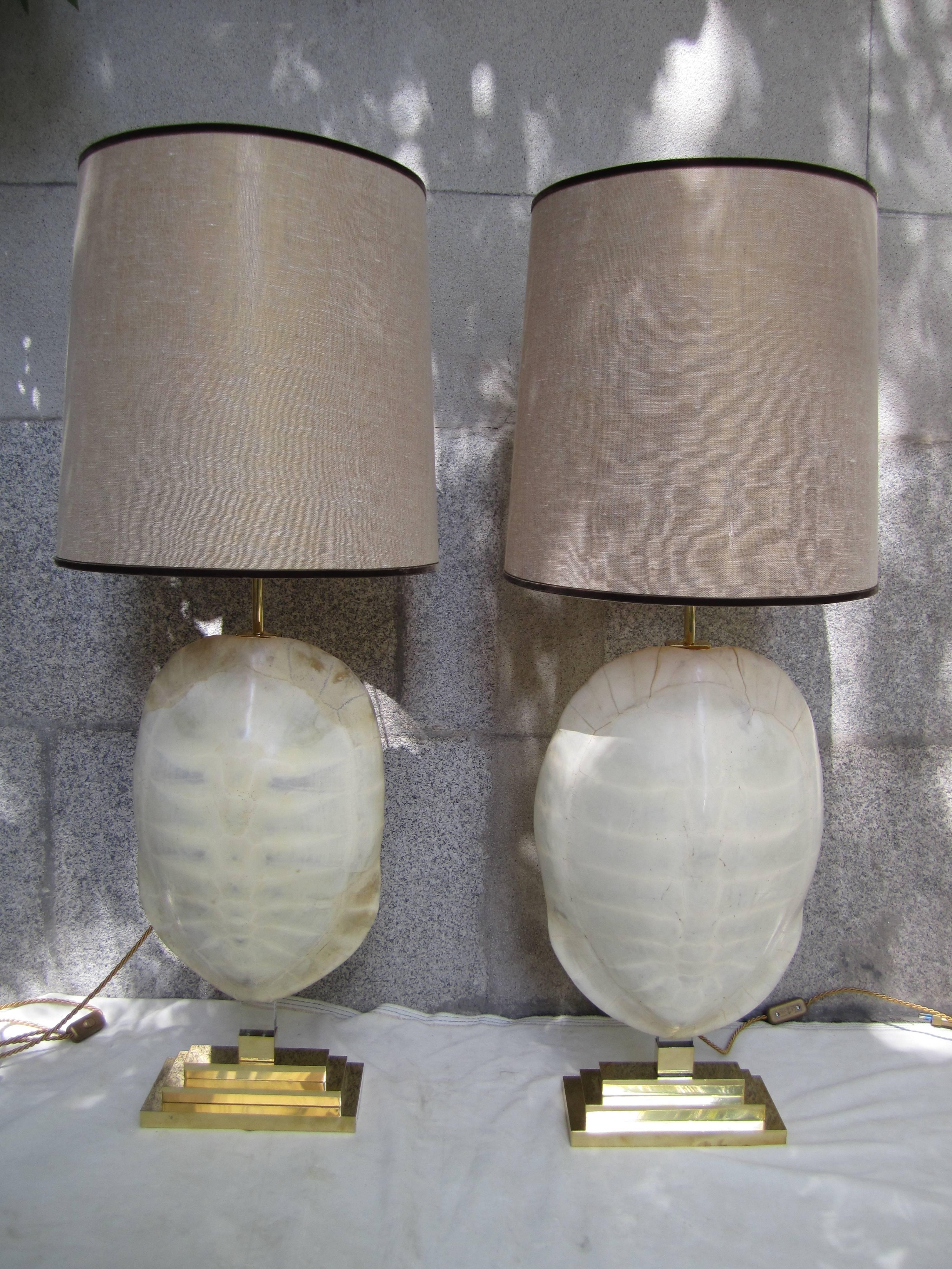 Contemporary Pair of Gilded Brass and Turtle Shell Lamps, 2010 For Sale