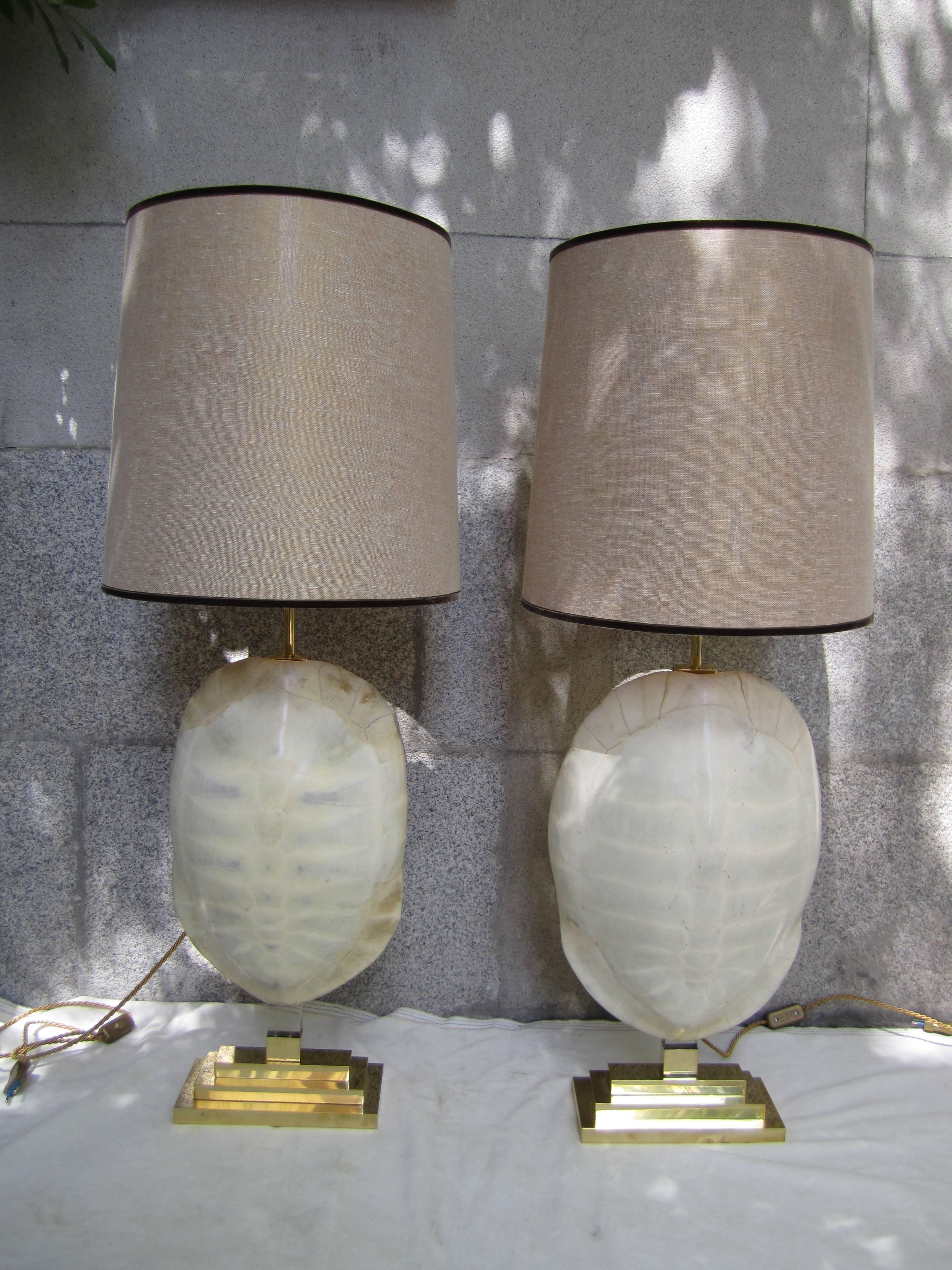 Pair of Gilded Brass and Turtle Shell Lamps, 2010 For Sale 1