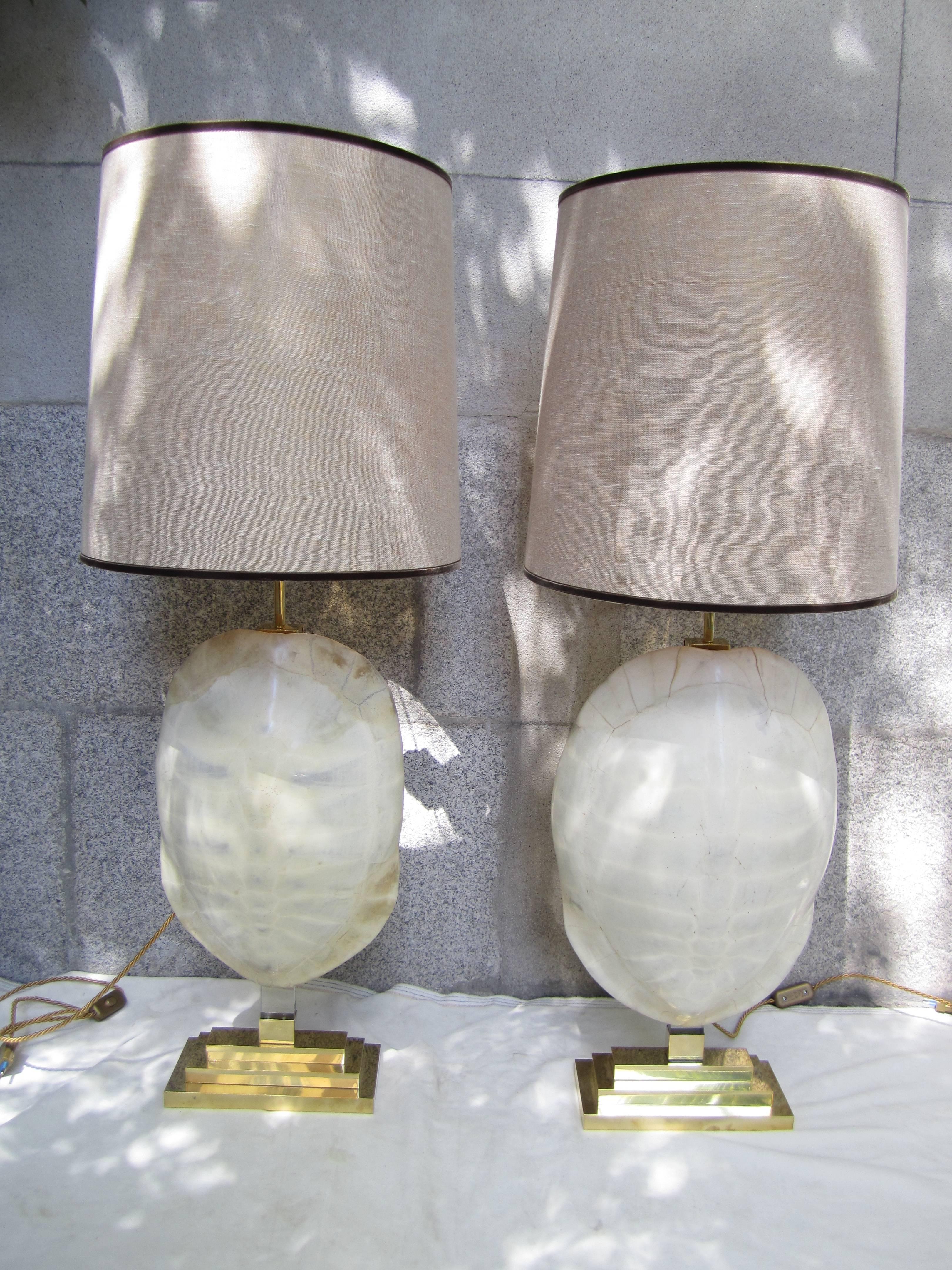 Pair of Gilded Brass and Turtle Shell Lamps, 2010 For Sale 2