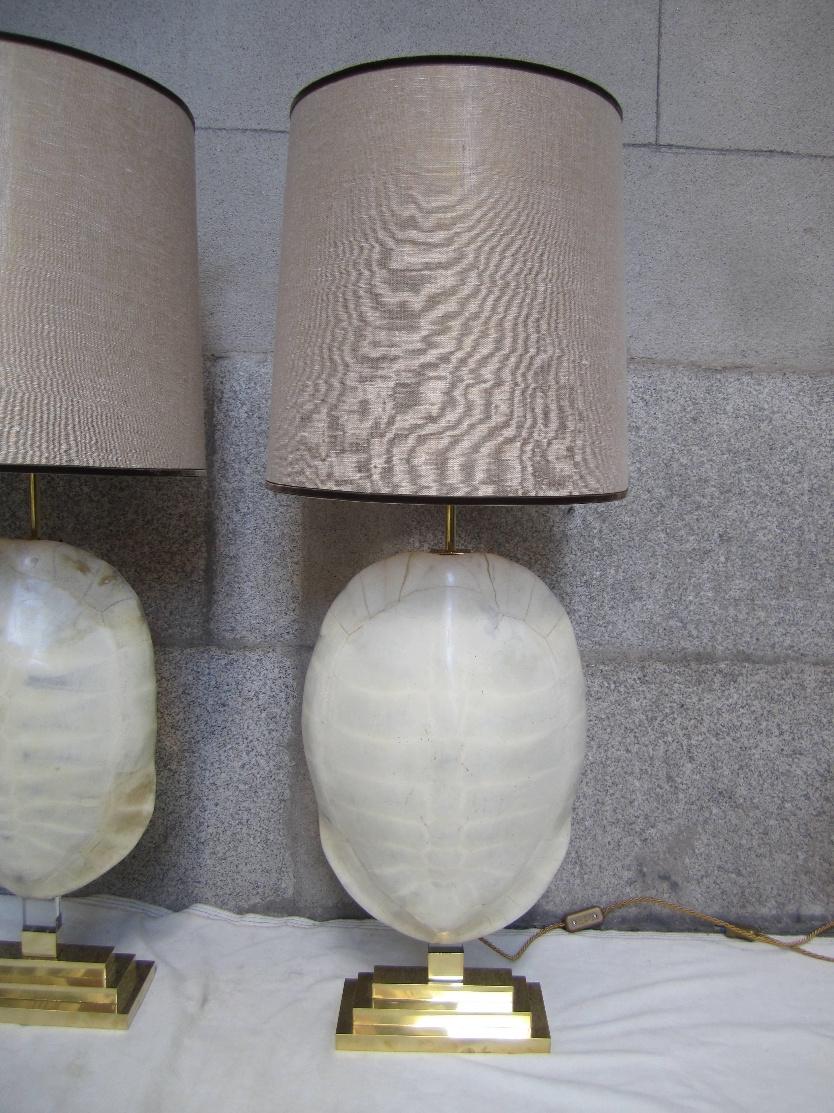 Pair of Gilded Brass and Turtle Shell Lamps, 2010 For Sale 4