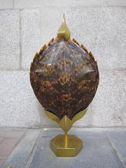 Turtle Shell Mounted in Gilded Brass in the Style of Anthony Redmile