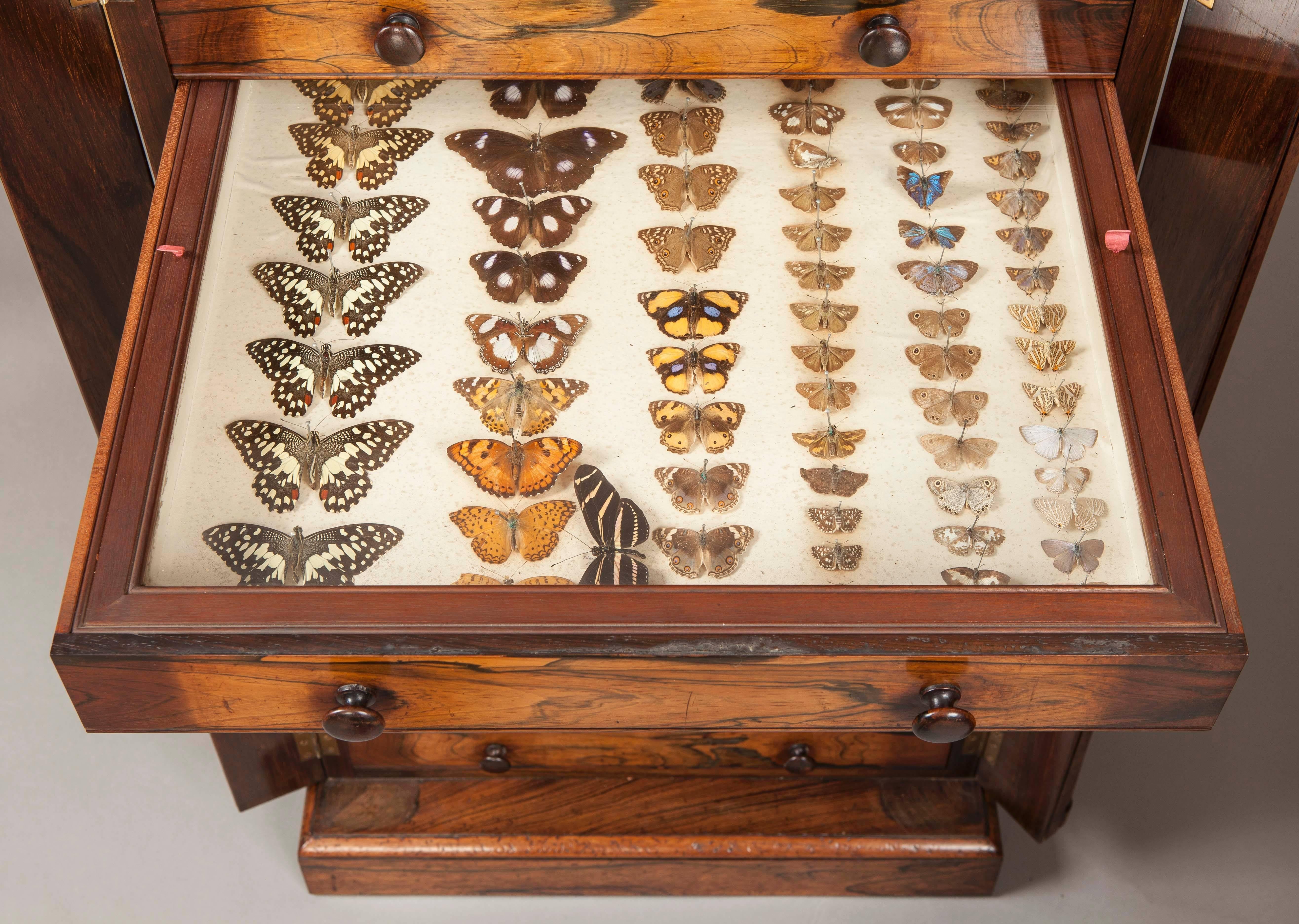 insect storage cabinets