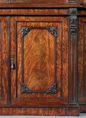 Antique 19th Century English Mahogany Library Bookcase