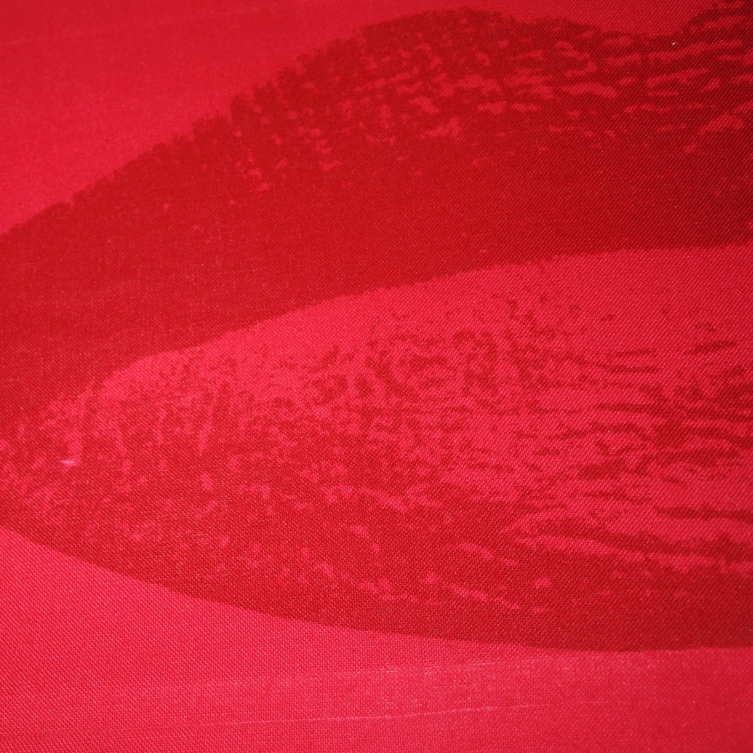 'Design Lips' is a fabric wall panel designed and produced in 1968 as part of Verner Panton's 'Anatomical Designs Collection', which were photorealistic illustrations of body parts displayed on various color backgrounds. 
This example is part of