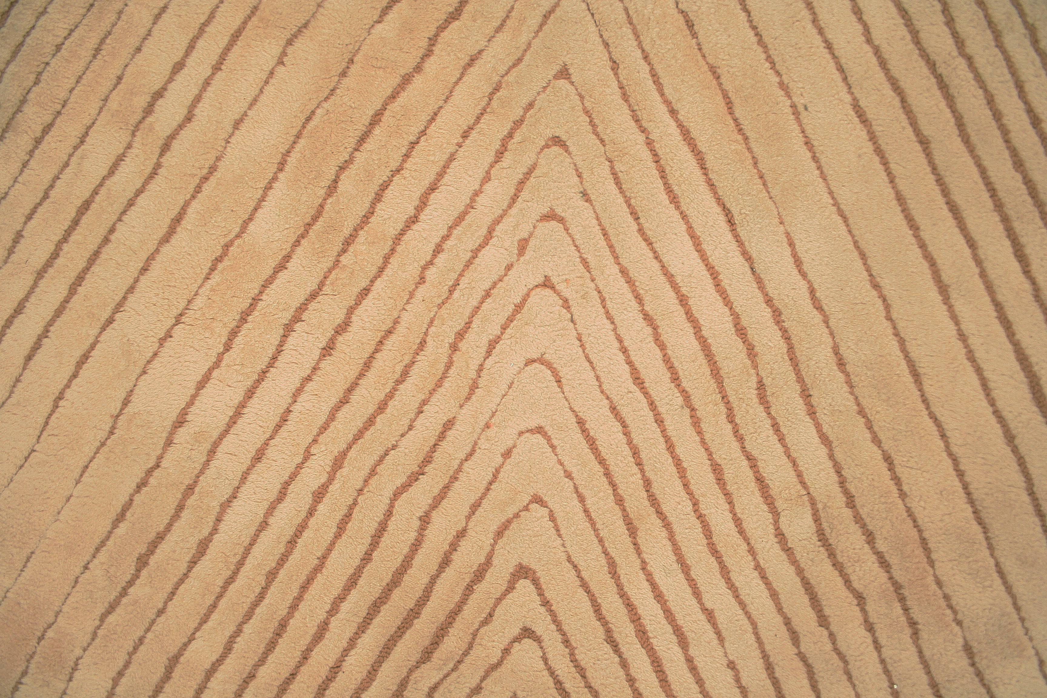 carpet that looks like wood