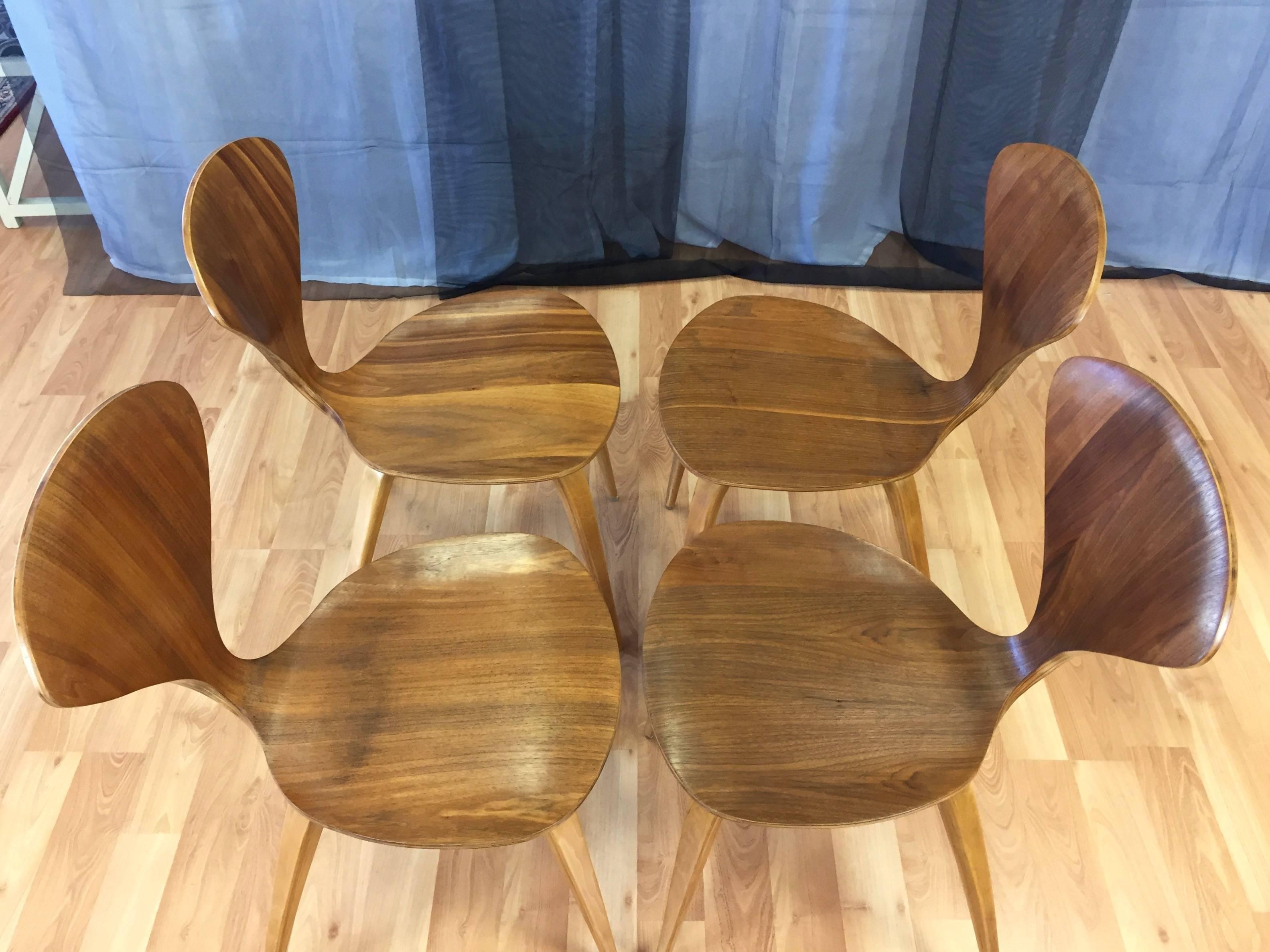 Birch Set of Four Vintage Cherner Side Chairs for Plycraft