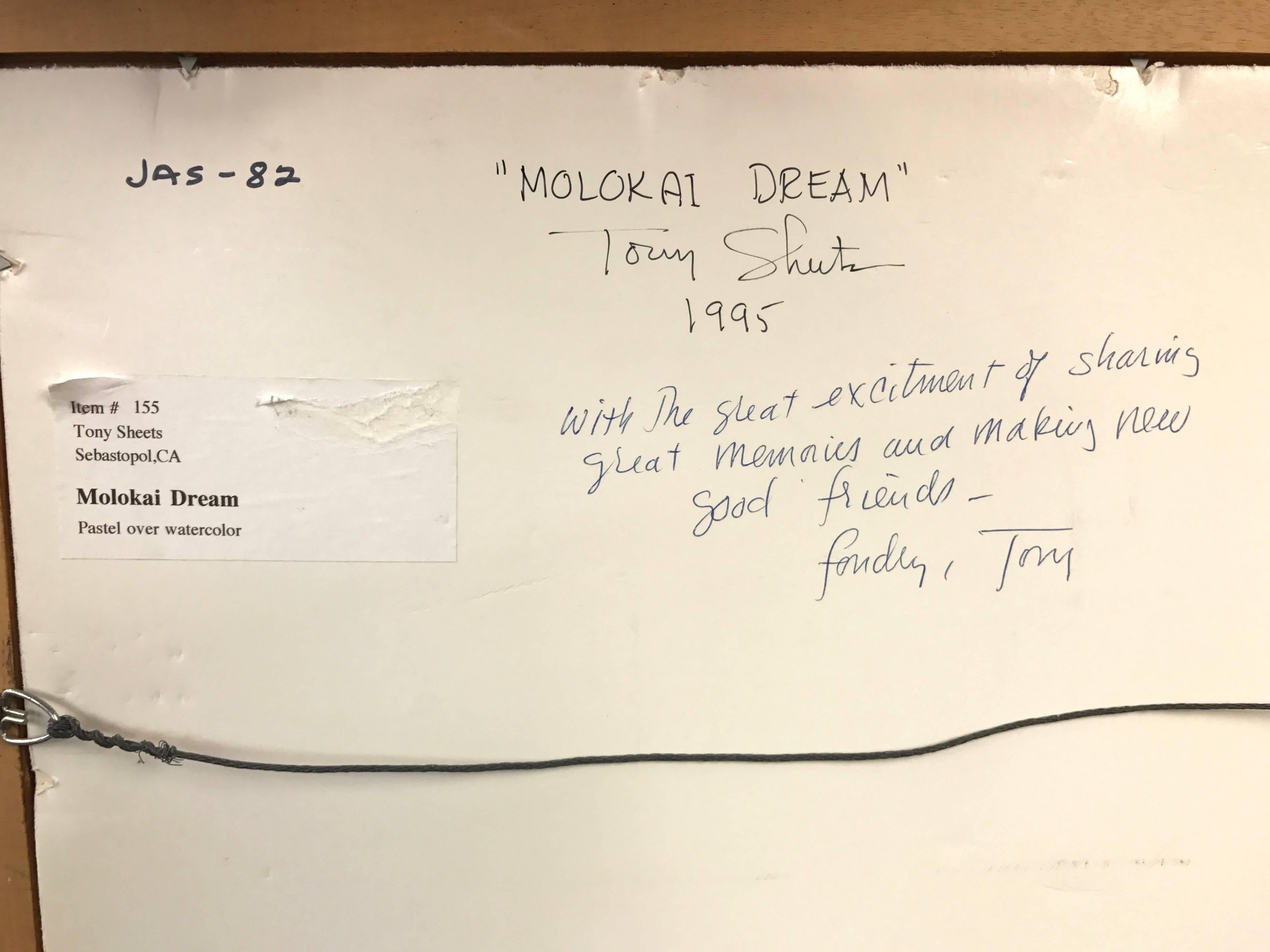 Tony Sheets “Molokai Dream” 1995, Signed For Sale 2