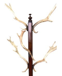 19th Century Walnut & Antler Hat & Coat Hall Stand