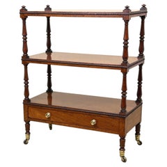 Superb Quality Regency Mahogany Étagère Whatnot, Early 19th Century