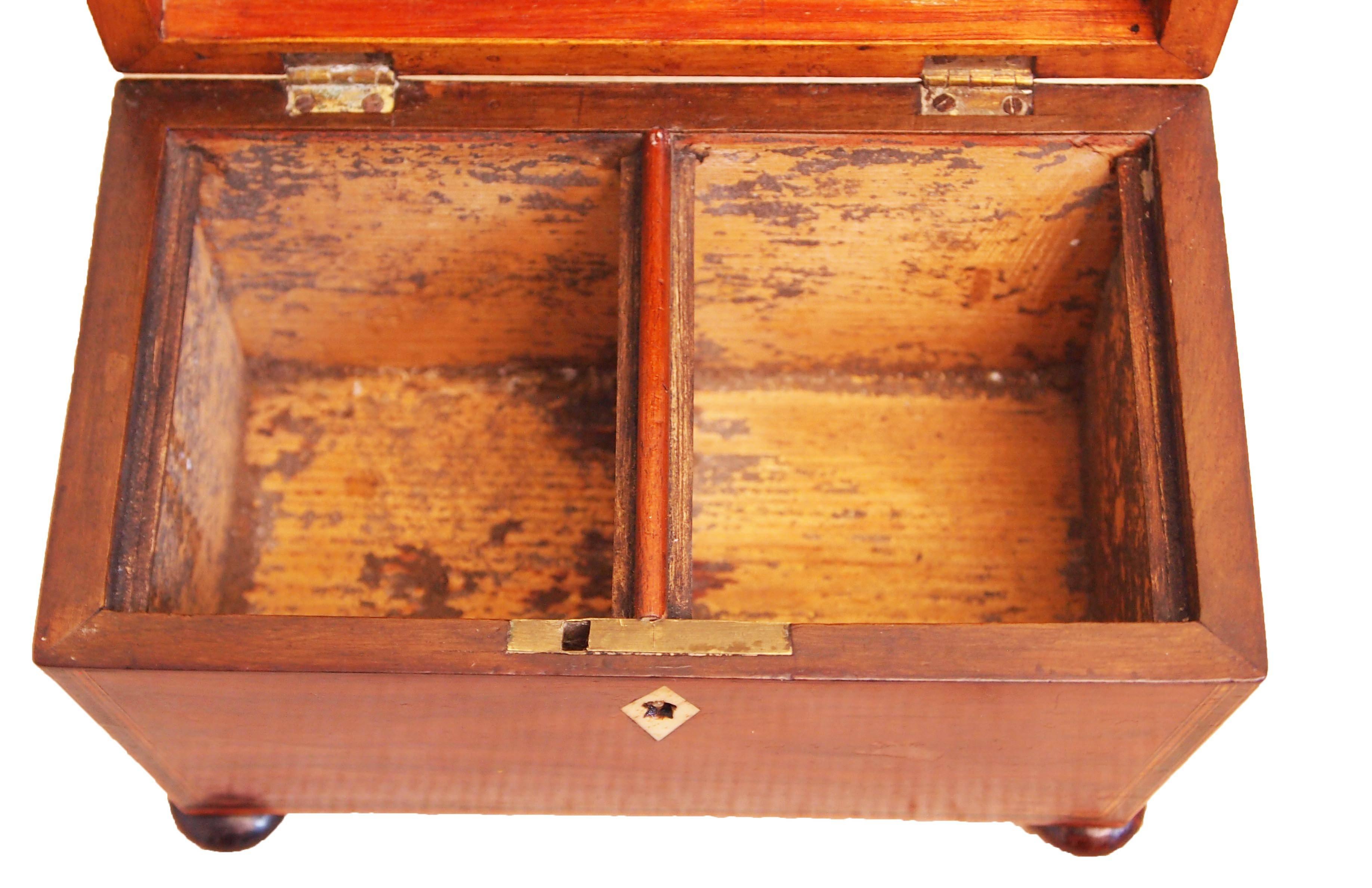 A very attractive Regency period sarcophagus shaped Goncalo
Alves wood tea caddy having inlaid decoration raised on 
Turned feet.