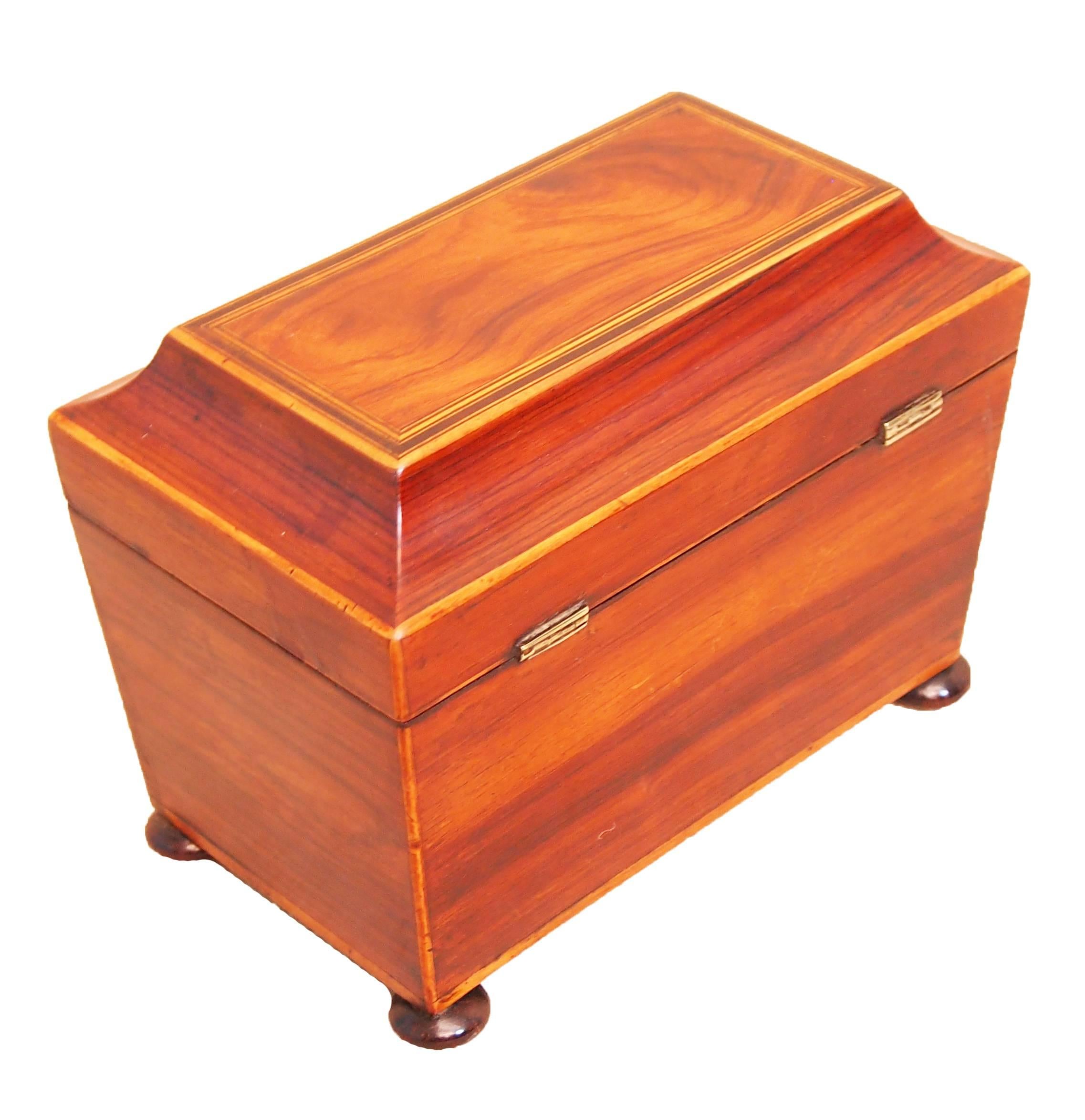 Antique Regency Goncalo Alves Tea Caddy In Good Condition In Bedfordshire, GB