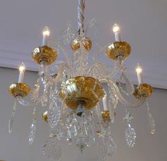 Elegant Mid-19th Century Leafs, Stars and Vine Decoration Glass Chandelier