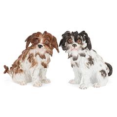Pair of Antique Meissen Porcelain Models of Bolognese Terriers