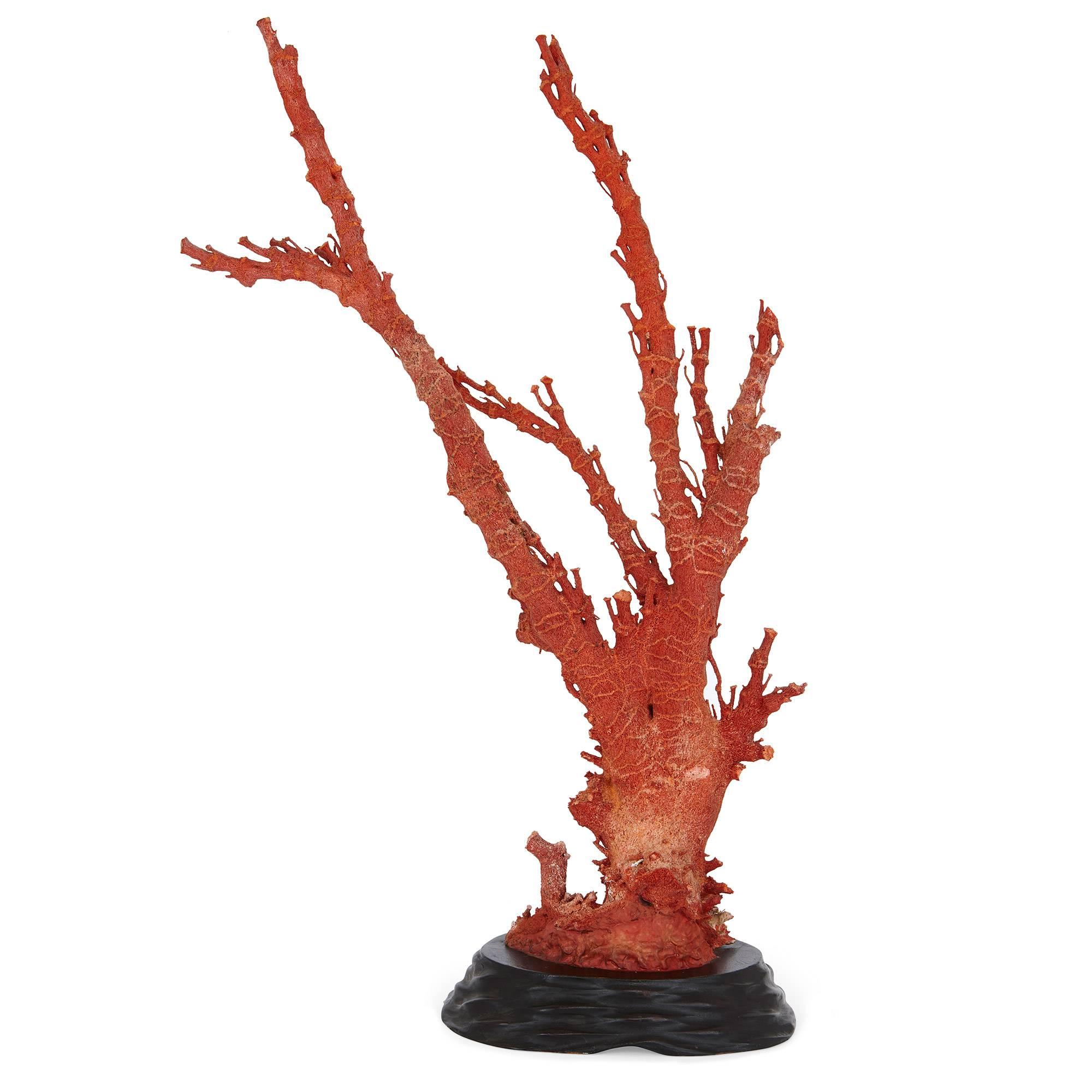 20th Century Qing Dynasty Antique Chinese Red Coral Specimen For Sale