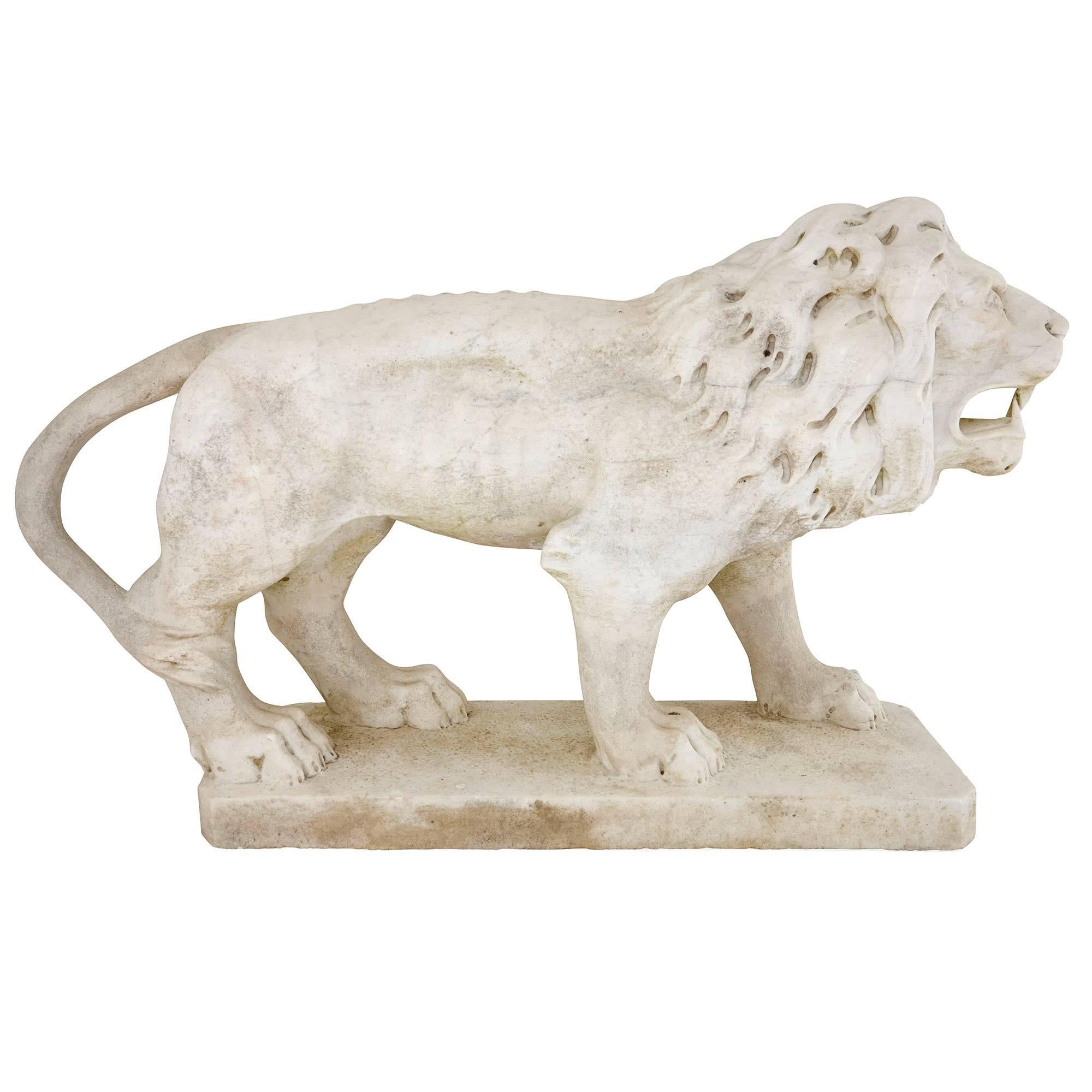 Each of these fine, impressive sculptures depict a male lion in white marble. The lions exhibit impressive manes and bare their teeth as they stand on their clawed paws. Each lion stands on a rectangular marble plinth. 
Sculptures of lions were