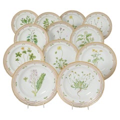 Set of Twelve Royal Copenhagen Flora Danica Porcelain Side Plates
